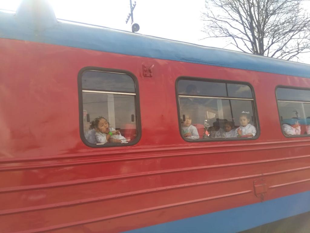 tren de la sabana dos